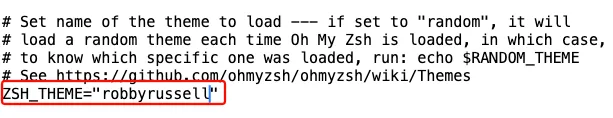 zsh theme configuration in editor