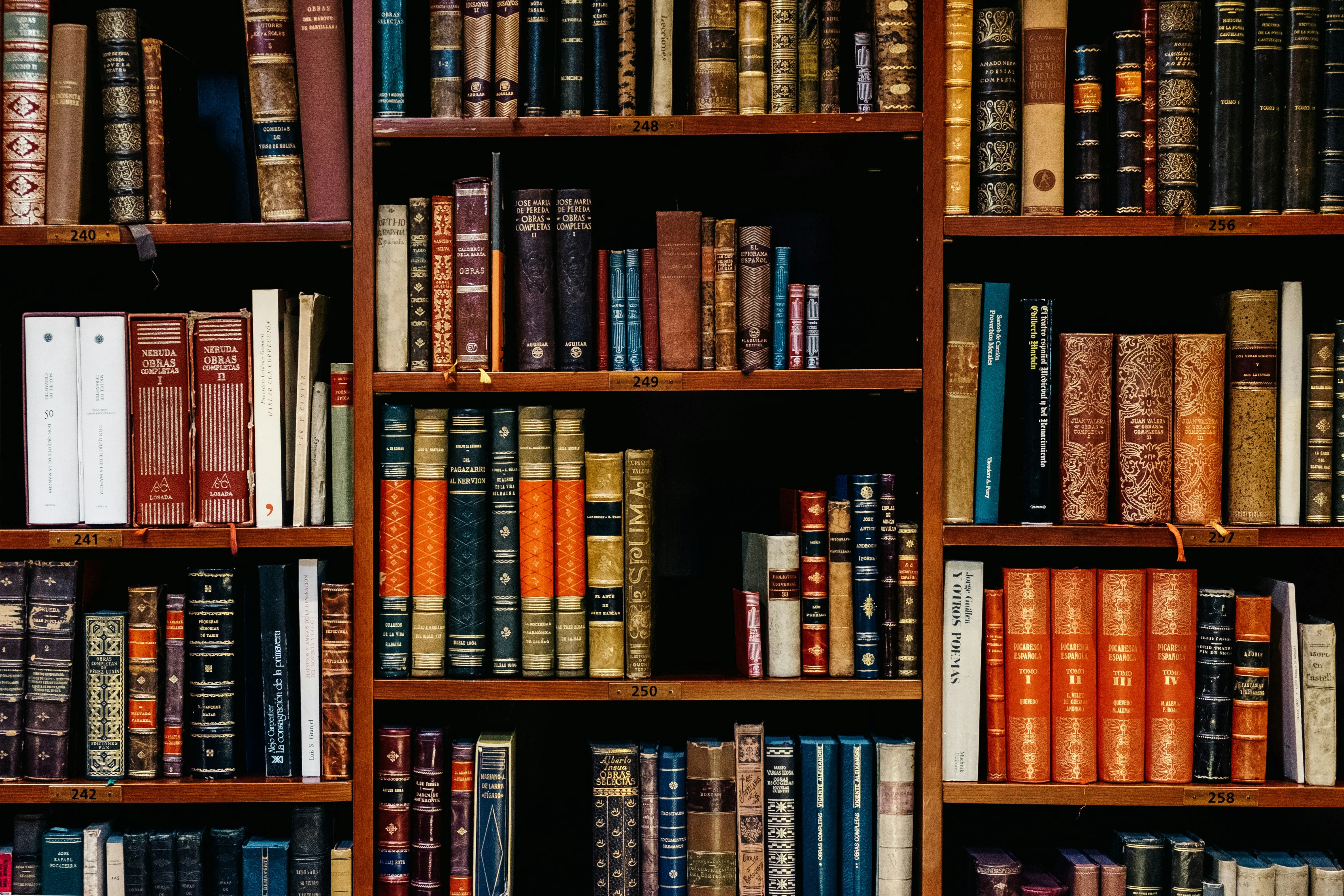 Library bookshelves filled with books