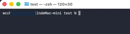 Default macOS terminal window